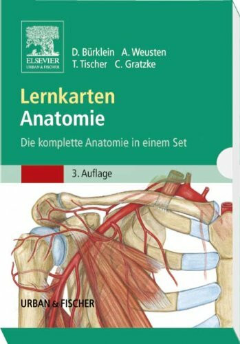 Lernkarten Anatomie: Die komplette Anatomie in einem Set