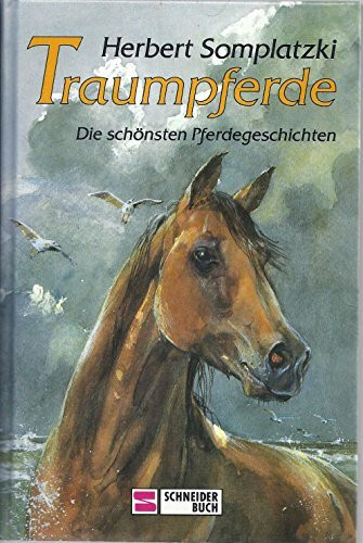 Traumpferde: Die schönsten Pferdegeschichten