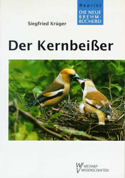 KERNBEIßER COCCOTHRAUSTES COCCOTHRAUSTE: Coccothraustes coccothraustes