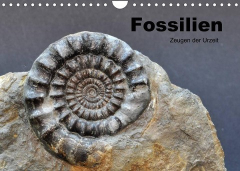 Fossilien - Zeugen der Urzeit (Wandkalender 2022 DIN A4 quer)