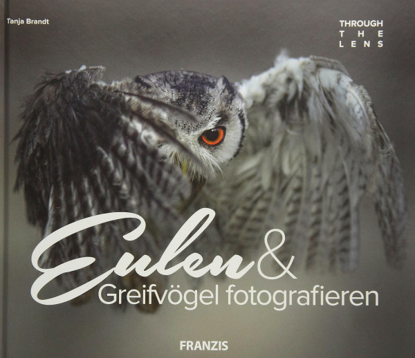 Eulen & Greifvögel fotografieren
