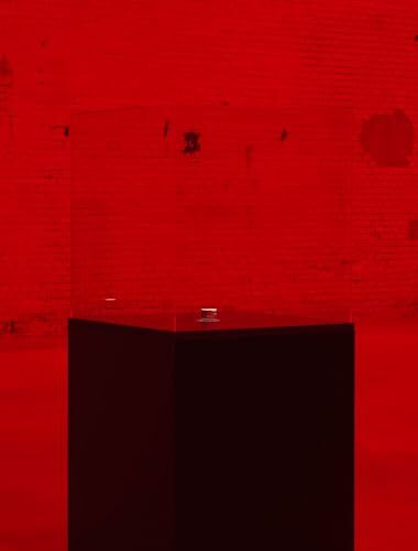 The End of the World: Alfredo Jaar