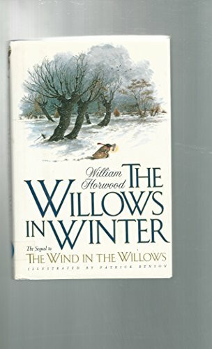 St Martins Pr The Willows In Winter