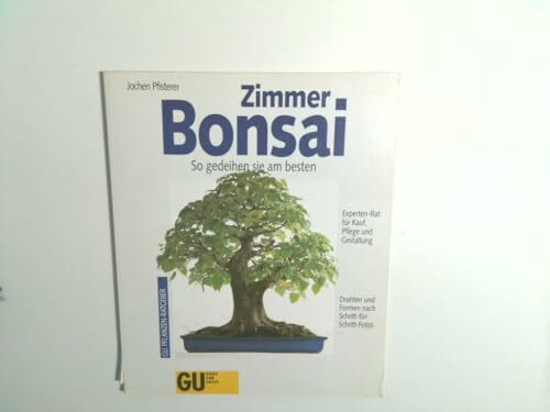Zimmer-Bonsai