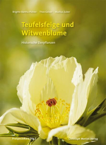 Teufelsfeige und Witwenblume: Historische Zierpflanzen
