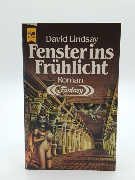 Fenster ins Frühlicht. Fantasy Roman.