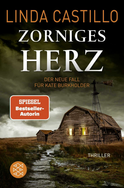 Zorniges Herz: Thriller | Spannender Thriller bei den Amischen (Kate Burkholder ermittelt, Band 15)
