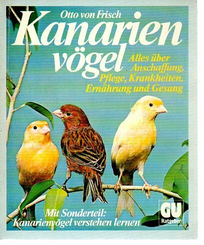 Kanarienvögel. (6246 354)