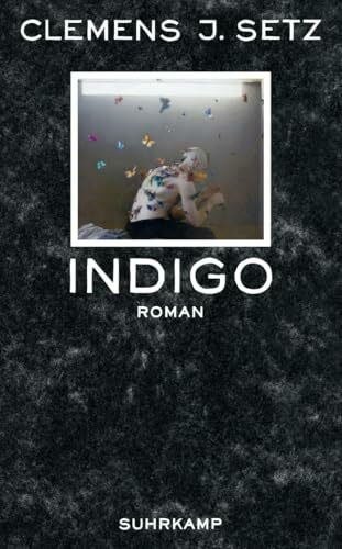 Indigo: Roman (suhrkamp taschenbuch)