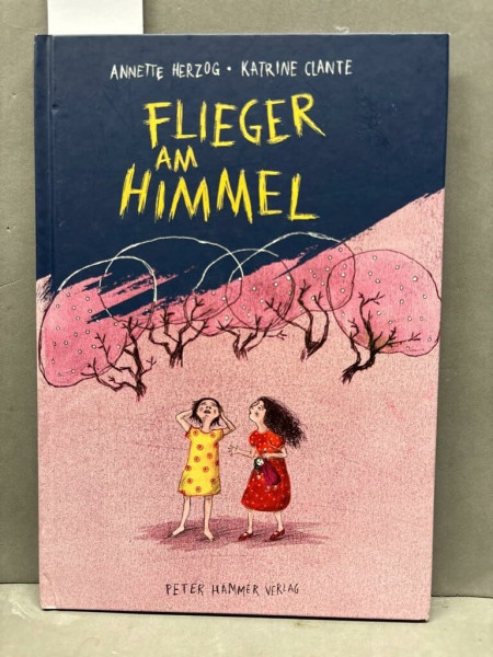 Flieger am Himmel