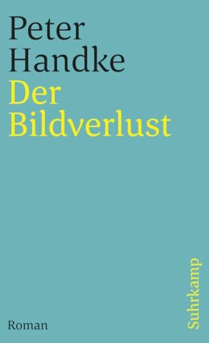 Der Bildverlust oder Durch die Sierra de Gredos: Roman (suhrkamp taschenbuch)