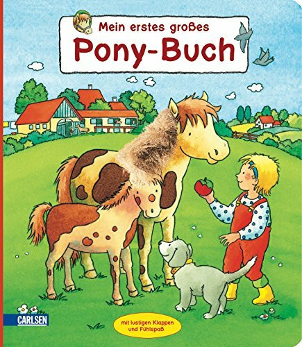 Mein erstes großes Pony-Buch: Mit lustigen Klappen und Fühlspaß