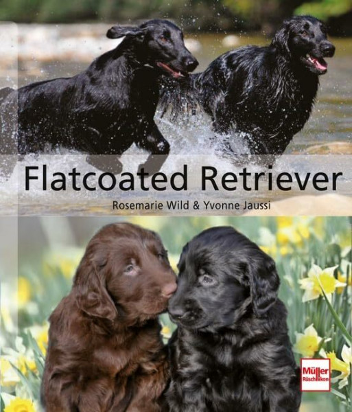 Flatcoated Retriever (Hunderassen)