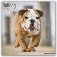 Bulldogs - Bulldoggen 2022 - 18-Monatskalender mit freier DogDays-App