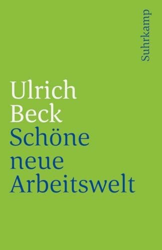 Schöne neue Arbeitswelt (suhrkamp taschenbuch)
