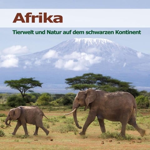 Afrika - Tierstimmen und Naturgeräusche
