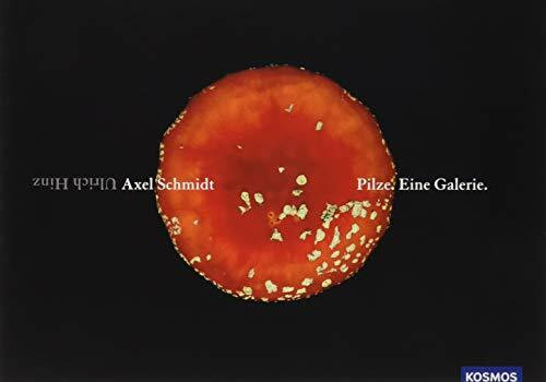 Pilze. Eine Galerie: Ausgezeichnet mit 'Die schönsten deutschen Bücher, Stiftung Buchkunst; Ratgeber' 2018
