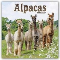 Alpacas - Alpakas 2022