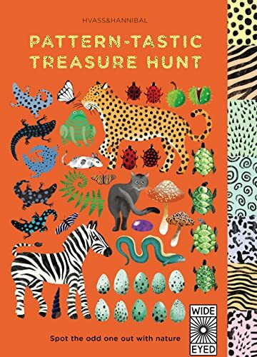 Pattern-Tastic Treasure Hunt: Spot the Odd One Out with Nature