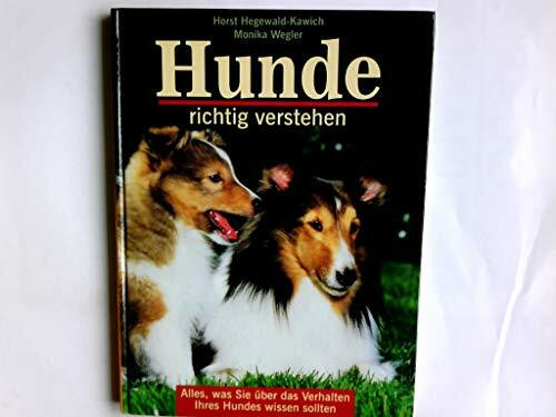 Hunde richtig verstehen: Alles, was Sie über das Verhalten Ihres Hundes wissen sollten
