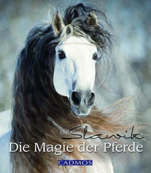 Die Magie der Pferde (Cadmos Pferdebuch)