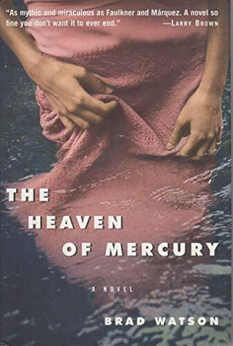 The Heaven of Mercury: A Novel