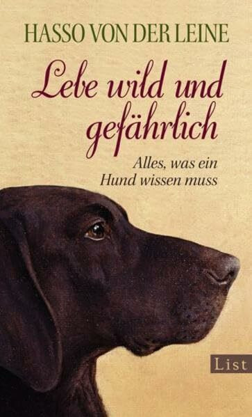Lebe wild und gefährlich: Alles, was ein Hund wissen muss