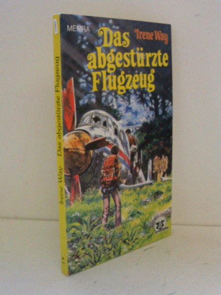 Das abgestürzte Flugzeug
