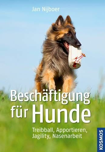 Beschäftigung für Hunde: Treibball, Apportieren, Nasenarbeit, Jagility