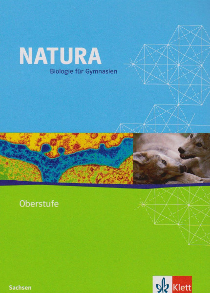 Natura Biologie 11/12. Ausgabe Sachsen: Schülerbuch Klassen 11/12 (Natura Biologie. Ausgabe ab 2000)