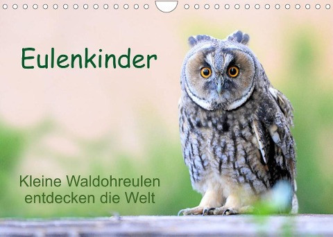 Eulenkinder - Kleine Waldohreulen entdecken die Welt (Wandkalender 2022 DIN A4 quer)