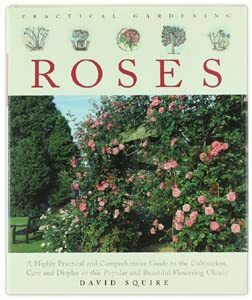 Practical Gardening: Roses