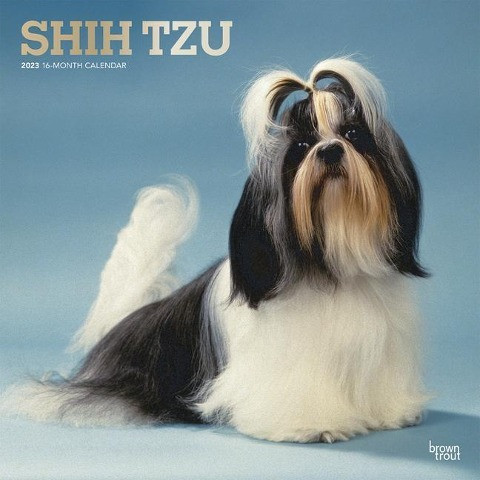 Shih Tzu 2023 Square Foil