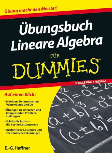 Übungsbuch Lineare Algebra für Dummies: Auf einen Blick: Matrizen, Determinanten, Vektorräume und Co. Übungen zu einfachen und komplizierten ... Lösungen und verständliche Erklärungen