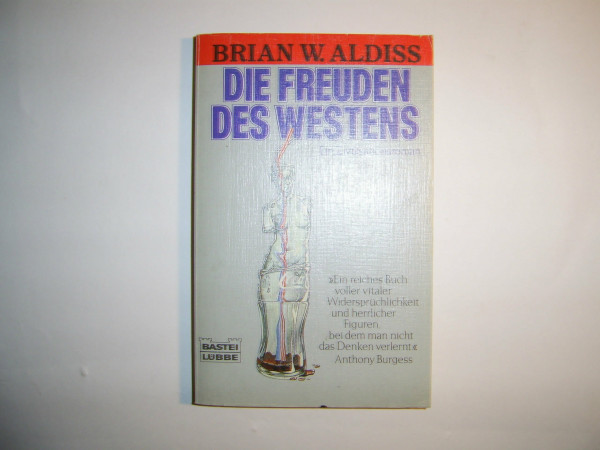 Die Freuden des Westens (Allgemeine Reihe. Bastei Lübbe Taschenbücher)