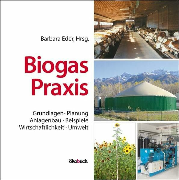 Biogas-Praxis: Grundlagen, Planung, Anlagenbau, Beispiele, Wirtschaftlichkeit, Umwelt