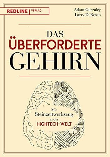 Das überforderte Gehirn: Mit Steinzeitwerkzeug in der Hightech-Welt