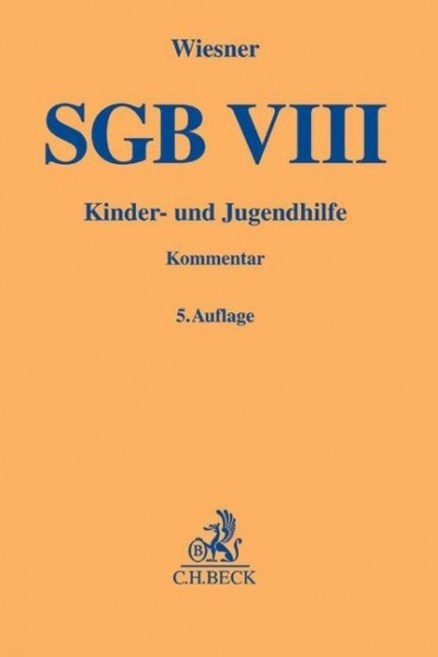 SGB VIII