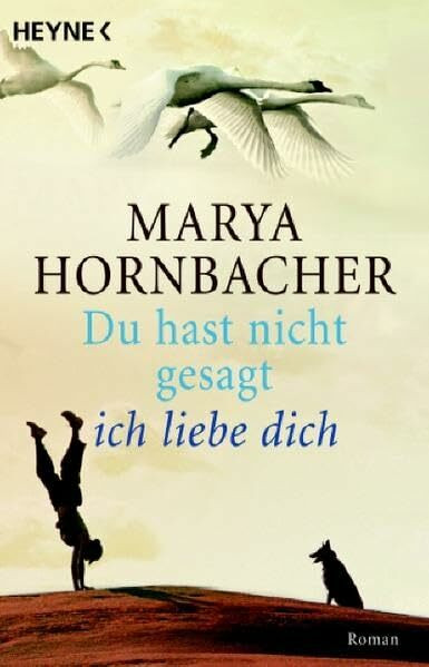 Du hast nicht gesagt, ich liebe dich: Roman