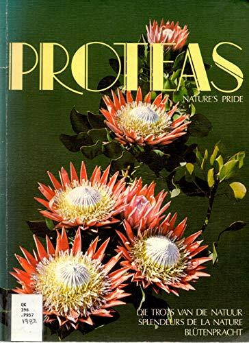 Proteas - Nature's Pride