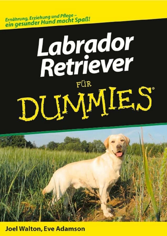 Labrador Retriever für Dummies: Ernährung, Erziehung und Pflege - ein gesunder Hund macht Spaß! Labrador Retriever für Dummies: Ernährung, Erziehung und Pflege - ein gesunder Hund macht Spaß!