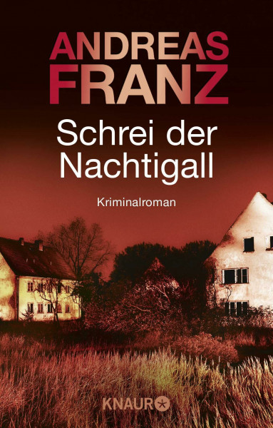 Schrei der Nachtigall: Kriminalroman (Peter Brandt ermittelt, Band 3)