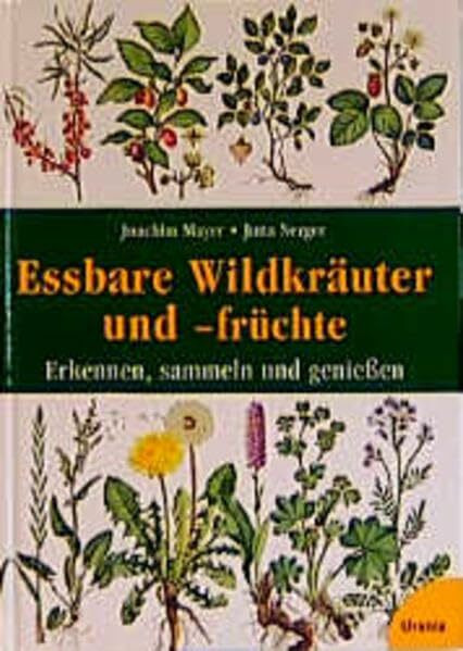 Essbare Wildkräuter und -früchte: Erkennen, sammeln und geniessen