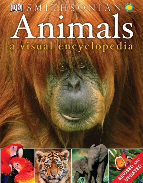 Animals: A Visual Encyclopedia