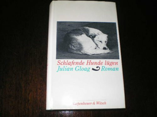 Schlafende Hunde lügen: Roman