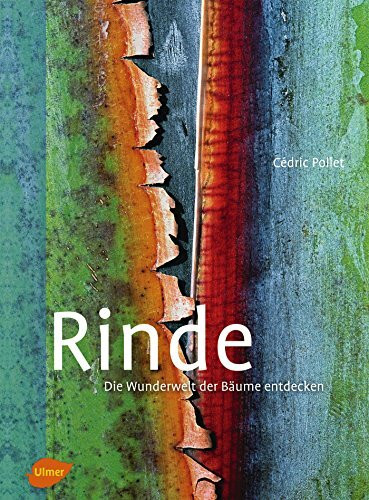 Rinde: Die Wunderwelt der Bäume entdecken