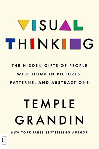 Visual Thinking: The Hidden Gifts of People Who Think in Pictures, Patterns, and Abstractions