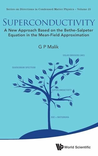 Superconductivity: A New Approach Based On The Bethe-Salpeter Equation In The Mean-Field Approximation: NEW APPROACH BASE BETHE-SALPETER EQUATION ... in Condensed Matter Physics, Band 21)