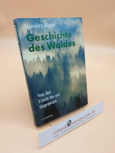 Geschichte des Waldes: Von der Urzeit bis zur Gegenwart