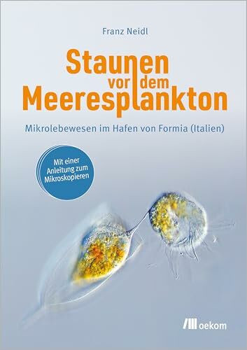 Staunen vor dem Meeresplankton: Mikrolebewesen im Hafen von Formia (Italien)